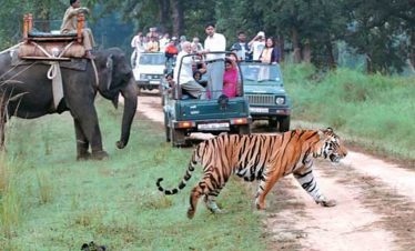 Nainital – Jim Corbett – Mussoorie Package
