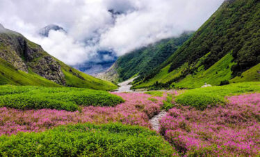 Valley of Flowers Trek